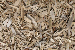 biomass boilers Thorns